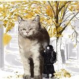 画笔下的猫咪，萌化我的心❤️❤️