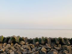 -南汇嘴观海公园