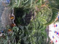 金隅凤山温泉度假村-金隅凤山酒店