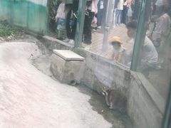 -泉州海丝野生动物世界