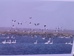 -卧龙湖