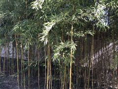 -宣武艺园
