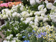 -亭亭鲜花店(中山北路店)