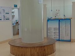 -瑞派宠物医院·24小时骨科·心脏·核磁(哈尔滨南岗店)