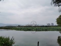 -庾园