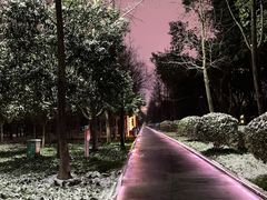 -木塔寺遗址生态公园