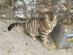 -汕头莲花山度假村温泉