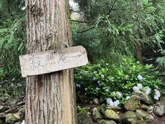-寂照庵