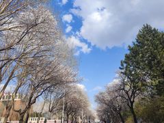 -吉林大学(南岭校区)