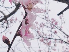 -大罗山风景区