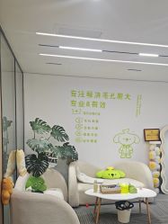 -凡碧诗毛孔清洁收细