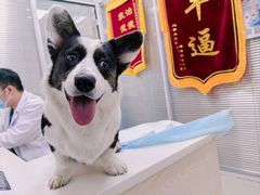 -美美宠物诊疗中心·异宠·骨科(滨江东信分院)