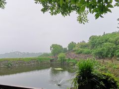 -许家山