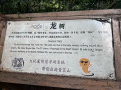 -青芝山风景名胜区