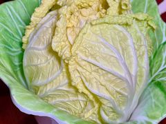 -前门杨记·铜锅涮肉(王府井·故宫店)