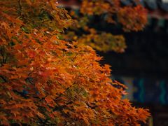 -香山公园-东宫门售票处