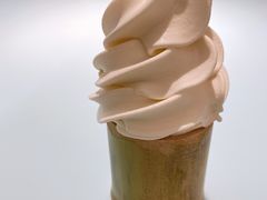 -青山研究所Aoyama Lab