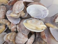 -小叶大馅饺子城