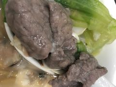 -蚝专家