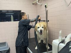 -FAELING PETS美天灵宠物(富力广场店)