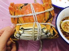 -乡乐园蟹庄·阳澄湖农家乐