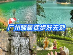 -广州市流溪河国家森林公园