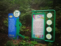 -大岭沟猕猴桃谷风景区