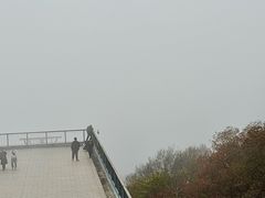 -紫金山山顶公园