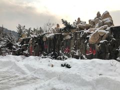 -龙口南山旅游景区