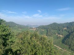 -午潮山国家森林公园