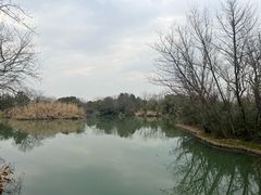 -西溪国家湿地公园