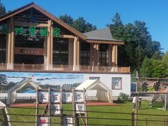 -五营红松林海景区