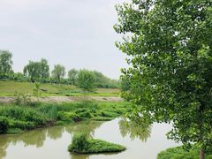 -洨河生态公园