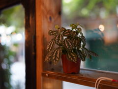 -西关84·History·Art·Cafe