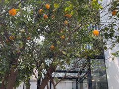 -Willing·Coffee&Brunch&Dinner(万达店)