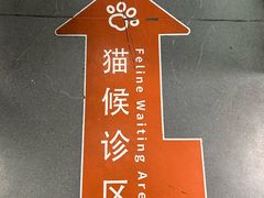 -申普宠物医院·心脏介入·心血管微创(总院)