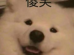 -利苑酒家(合景国际金融广场店)