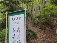 -上海佘山国家森林公园天马山园