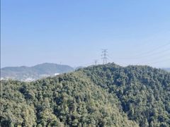 -南山植物园