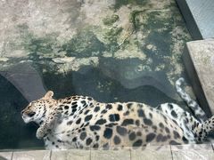 -攀枝花公园