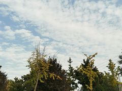-沙澧河风景区