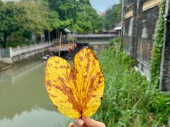 -东涌水乡风情街