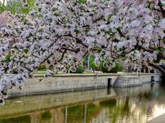 -海棠花溪(元大都城垣遗址公园)