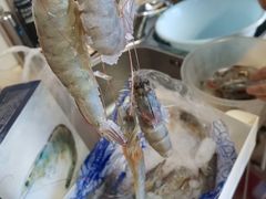 白皮虾-白沙菜市场