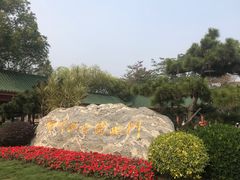 -顺峰山公园
