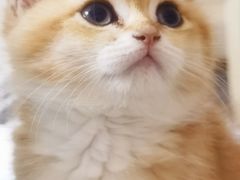 -宠颐生宠物医院·综合诊疗(先锋分院)