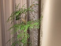 -羊门客在·烤盐池滩羊·川菜