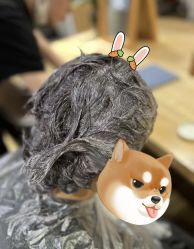-Mentor Hair Salon