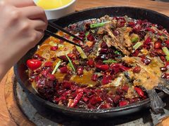 -老板恋上鱼(恒隆广场店)