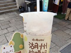 -猫的魔法密林(衣裳街店)